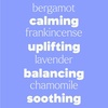 image:imagePlant Therapy Kids Happy Place Essential Oil Blend 10 mL 13 oz 100 Pure Undiluted Calming Aromatherapy for Stress Relaxation amp Emotional BalanceHappy Place