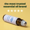 image:imagePlant Therapy Kids Nighty Night Essential Oil 10 mL PreDiluted RollOn033 Fl Oz Pack of 1