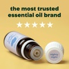 image:imagePlant Therapy Kids Nighty Night Essential Oil Blend for Sleep 10 mL 13 oz 100 Pure Undiluted Natural Aromatherapy Encourages a Good Nights Rest033 Fl Oz Pack of 1