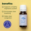 image:imagePlant Therapy Kids Nighty Night Essential Oil Blend for Sleep 10 mL 13 oz 100 Pure Undiluted Natural Aromatherapy Encourages a Good Nights Rest033 Fl Oz Pack of 1