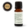 image:imagePlant Therapy Kids Nighty Night Essential Oil Blend for Sleep 10 mL 13 oz 100 Pure Undiluted Natural Aromatherapy Encourages a Good Nights Rest034 Fl Oz Pack of 1