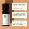 image:imagePlant Therapy Kids Nighty Night Essential Oil Blend for Sleep 10 mL 13 oz 100 Pure Undiluted Natural Aromatherapy Encourages a Good Nights Rest034 Fl Oz Pack of 1