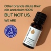 image:imagePlant Therapy Kids Nighty Night Essential Oil Blend for Sleep 10 mL 13 oz 100 Pure Undiluted Natural Aromatherapy Encourages a Good Nights Rest034 Fl Oz Pack of 1