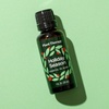 image:imagePlant Therapy Kids Nighty Night Essential Oil Blend for Sleep 10 mL 13 oz 100 Pure Undiluted Natural Aromatherapy Encourages a Good Nights Rest1 Fl Oz Pack of 1