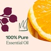 image:imagePlant Therapy Kids Nighty Night Essential Oil Blend for Sleep 10 mL 13 oz 100 Pure Undiluted Natural Aromatherapy Encourages a Good Nights Rest1 Fl Oz Pack of 1