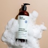 image:imagePlant Therapy Lavender Sandalwood Natural Body Wash 16 oz For all Skin Types Sulfate Free Body Wash For Men or Women Relaxing AllNatural Aroma Lush Hydrating Lather Cleanses amp Soothes SkinLavender Sandalwood