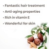 image:imagePlant Therapy Organic Argan Hair Oil 4 oz100 Pure and USDA Certified Organic For Face Hair Skin Nails and CuticlesArgan Oil