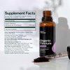 image:imagePlant Therapy Organic Brain Power Tincture 30 mL 1 oz Supports Brain Focus amp Clarity Helps Mental Alertness amp Memory Brain Boost Supplement Packed with BenefitsElderberry
