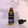 image:imagePlant Therapy Organic Brain Power Tincture 30 mL 1 oz Supports Brain Focus amp Clarity Helps Mental Alertness amp Memory Brain Boost Supplement Packed with BenefitsEchinacea