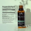 image:imagePlant Therapy Organic Brain Power Tincture 30 mL 1 oz Supports Brain Focus amp Clarity Helps Mental Alertness amp Memory Brain Boost Supplement Packed with BenefitsLemon Balm