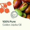 image:imagePlant Therapy Organic Jojoba Body Oil 4 fl oz 118 mL 100 Pure ColdPressed Natural GMOFree Jojoba Oil for Skin Hair Nails amp Essential OilsJojoba