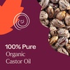 image:imagePlant Therapy Organic Lavender amp Frankincense Castor Body Oil Roll On 30 mLOrganic Castor Oil