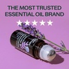 image:imagePlant Therapy Organic Lavender amp Frankincense Castor Body Oil Roll On 30 mLOrganic Lavender  Frankincense Castor Oil