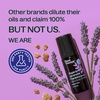 image:imagePlant Therapy Organic Lavender amp Frankincense Castor Body Oil Roll On 30 mLOrganic Lavender  Frankincense Castor Oil
