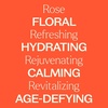 image:imagePlant Therapy Rose Hydrosol 16 oz ByProduct of Essential Oils16 Fl Oz Pack of 1