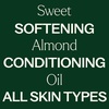image:imagePlant Therapy Sweet Almond Oil 4 oz  100 Pure Massage amp Aromatherapy Carrier Oil Unscented Made in USASweet Almond