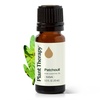 image:imagePlant Therapy Kids Nighty Night Essential Oil Blend for Sleep 10 mL 13 oz 100 Pure Undiluted Natural Aromatherapy Encourages a Good Nights Rest034 Fl Oz Pack of 1