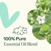 image:imagePlant Therapy Ache Away PreDiluted Essential Oil RollOn Blend 10 mL 13 oz 100 Pure Natural AromatherapyAche Away