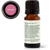 image:imagePlant Therapy Anti Age Essential Oil Blend 10 mL 13 oz 100 Pure Undiluted for Fine Lines Wrinkles and Elasticity033 Fl Oz Pack of 1