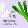 image:imagePlant Therapy Anti Age Essential Oil Blend 10 mL 13 oz 100 Pure Undiluted for Fine Lines Wrinkles and Elasticity033 Fl Oz Pack of 1