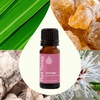 image:imagePlant Therapy Anti Age Essential Oil Blend 10 mL 13 oz 100 Pure Undiluted for Fine Lines Wrinkles and Elasticity033 Fl Oz Pack of 1