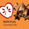 image:imagePlant Therapy Apple Cider Fall Essential Oil Blend 10 mL 13 ozApple Cider