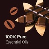 image:imagePlant Therapy Apple Cider Fall Essential Oil Blend 10 mL 13 ozChocolate Espresso