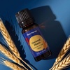 image:imagePlant Therapy Apple Cider Fall Essential Oil Blend 10 mL 13 ozHarvest Moon