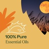 image:imagePlant Therapy Apple Cider Fall Essential Oil Blend 10 mL 13 ozHarvest Moon