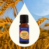 image:imagePlant Therapy Apple Cider Fall Essential Oil Blend 10 mL 13 ozHarvest Moon