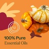 image:imagePlant Therapy Apple Cider Fall Essential Oil Blend 10 mL 13 ozPumpkin Harvest