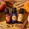 image:imagePlant Therapy Apple Cider Fall Essential Oil Blend 10 mL 13 ozPumpkin Harvest