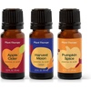 image:imagePlant Therapy Apple Cider Fall Essential Oil Blend 10 mL 13 ozPumpkin Harvest