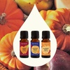image:imagePlant Therapy Apple Cider Fall Essential Oil Blend 10 mL 13 ozPumpkin Harvest