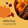 image:imagePlant Therapy Apple Cider Fall Essential Oil Blend 10 mL 13 ozPumpkin Spice