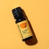 image:imagePlant Therapy Apple Cider Fall Essential Oil Blend 10 mL 13 ozPumpkin Spice