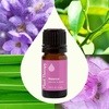 image:imagePlant Therapy Balance Essential Oil Blend 5 mL 16 oz 100 Pure Undiluted for Womens Health and Emotional SupportBalance