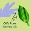 image:imagePlant Therapy Balance Essential Oil Blend 5 mL 16 oz 100 Pure Undiluted for Womens Health and Emotional SupportBalance