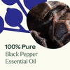 image:imagePlant Therapy Black Pepper Essential Oil 10 mL 13 ozBlack Pepper