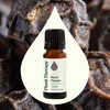 image:imagePlant Therapy Black Pepper Essential Oil 10 mL 13 ozBlack Pepper