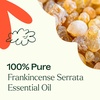 image:imagePlant Therapy Black Pepper Essential Oil 10 mL 13 ozFrankincense