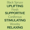 image:imagePlant Therapy Black Spruce Essential Oil 10 mL 13 oz 100 Pure Undiluted Aromatherapy Respiratory Support Sore Muscle Relief034 Fl Oz Pack of 1