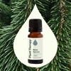 image:imagePlant Therapy Black Spruce Essential Oil 10 mL 13 oz 100 Pure Undiluted Aromatherapy Respiratory Support Sore Muscle Relief034 Fl Oz Pack of 1