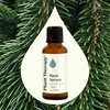 image:imagePlant Therapy Black Spruce Essential Oil 10 mL 13 oz 100 Pure Undiluted Aromatherapy Respiratory Support Sore Muscle Relief1 Fl Oz Pack of 1