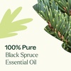 image:imagePlant Therapy Black Spruce Essential Oil 10 mL 13 oz 100 Pure Undiluted Aromatherapy Respiratory Support Sore Muscle Relief1 Fl Oz Pack of 1