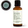 image:imagePlant Therapy Black Spruce Essential Oil 10 mL 13 oz 100 Pure Undiluted Aromatherapy Respiratory Support Sore Muscle Relief1 Fl Oz Pack of 1