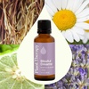 image:imagePlant Therapy Blissful Dreams Essential Oil Blend For Relaxation While Supporting Quality Rest Grounding and Soothing Lovely Bedtime Aroma 10 mL 13 oz 100 Pure Undiluted Natural Aromatherapy1 Fl Oz Pack of 1