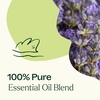 image:imagePlant Therapy Blissful Dreams Essential Oil Blend For Relaxation While Supporting Quality Rest Grounding and Soothing Lovely Bedtime Aroma 10 mL 13 oz 100 Pure Undiluted Natural Aromatherapy1 Fl Oz Pack of 1
