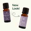 image:imagePlant Therapy Blissful Dreams Essential Oil Blend For Relaxation While Supporting Quality Rest Grounding and Soothing Lovely Bedtime Aroma 10 mL 13 oz 100 Pure Undiluted Natural Aromatherapy033 Fl Oz Pack of 1