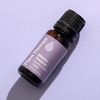 image:imagePlant Therapy Blissful Dreams Essential Oil Blend For Relaxation While Supporting Quality Rest Grounding and Soothing Lovely Bedtime Aroma 10 mL 13 oz 100 Pure Undiluted Natural Aromatherapy033 Fl Oz Pack of 1